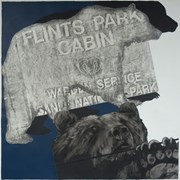 Cover image of Flint’s Park