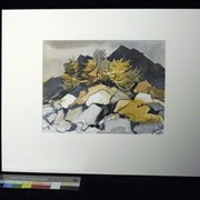 Cover image of Untitled [Rocks and Trees]