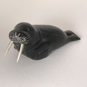 Cover image of Walrus