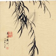 Cover image of Young Willow Branches - Moon Crescent