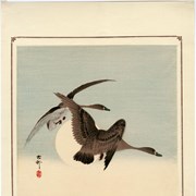 Cover image of Two Geese and the Moon