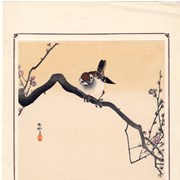 Cover image of Sparrow on Plum Branch 