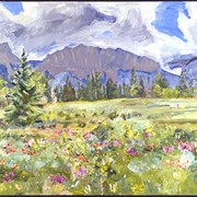 Cover image of Bow Valley Series