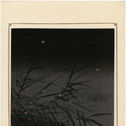 Cover image of Untitled [Six Fireflies]