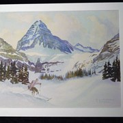Cover image of Skiing at Mount Assiniboine