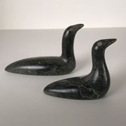 Cover image of Pair of Loons