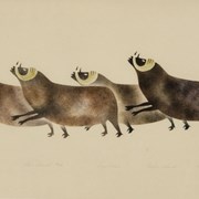 Cover image of Four Muskoxen