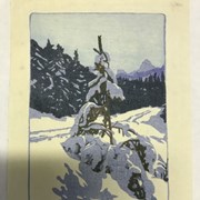 Cover image of Winter Road
