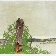 Cover image of The Stump, Lake of the Woods