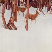 Cover image of Deer in the Woods, 1949
