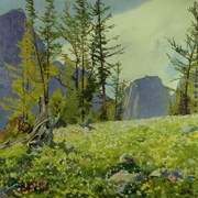 Cover image of Wenkchemna Meadows