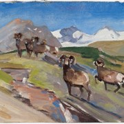 Cover image of Untitled [Bighorn Sheep or Rams]
