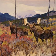 Cover image of Moose, Upper Ram River Valley