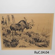 Cover image of Moose