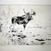 Cover image of Moose at Water's Edge