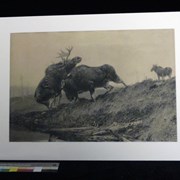 Cover image of Battling Moose
