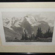 Cover image of  Di Jungfrau 