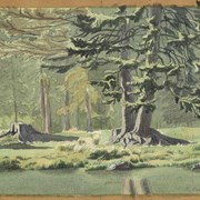 Cover image of On Forty Mile Creek, Banff