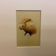 Cover image of Moose at Glacier Lake