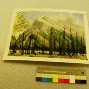 Cover image of Rundle