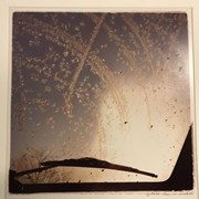 Cover image of Dawn on windshield