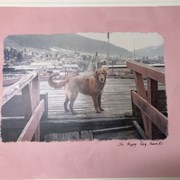 Cover image of The Happy Dog, Nelson B.C.