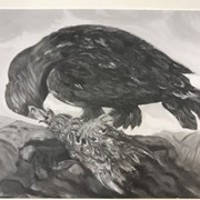 Cover image of Eagle Feeding Young 