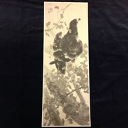 Cover image of Eagle in Tree
