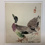 Cover image of Untitled [Two Ducks]