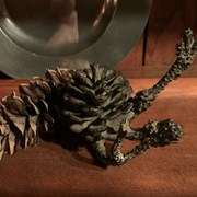Cover image of Pine Cone 