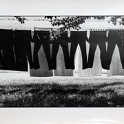 Cover image of Pants on Clothesline 