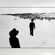 Cover image of Boys, Sheepdogs and Sheep