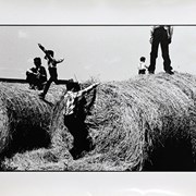 Cover image of Jumping on Hay Bales