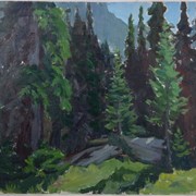 Cover image of The Edge of the Meadow, Lake O'Hara