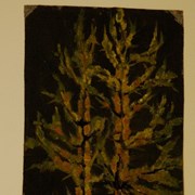 Cover image of Larches