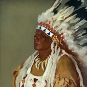 Cover image of Chief Dan Wildman    