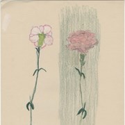 Cover image of Untitled