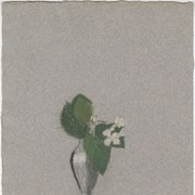 Cover image of Untitled