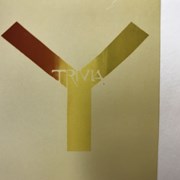 Cover image of Y Trivia