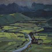 Cover image of Rice Paddies