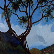 Cover image of Lauhala Trees, Kauai