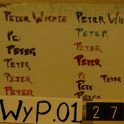 Cover image of Peter Whyte Signatures