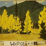 Cover image of Fall Colour, Bow Valley