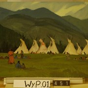 Cover image of Indian Days Camp