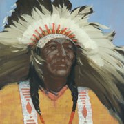 Cover image of Indian Chief